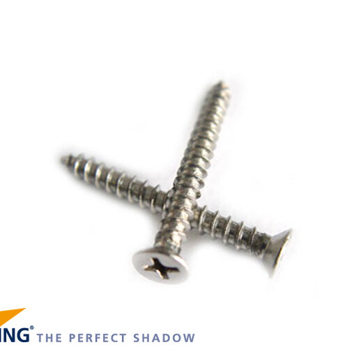 Nesling Schroeven 20 x RVS